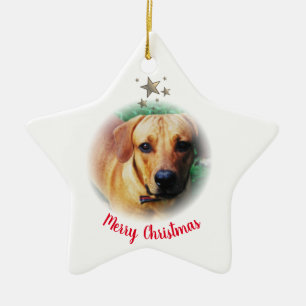 Personlig Julstjärna, formad Ornament