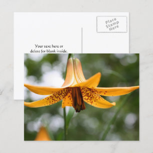Personlig kanadensis lilja blomfotografering vykort