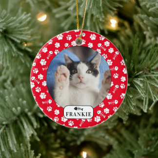 Personlig katt fiskben & tåavtryck husdjur foto pr julgransprydnad keramik