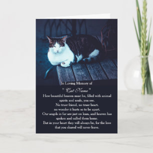 Personlig katt medkänsla kort foto Husdjur Minnesk