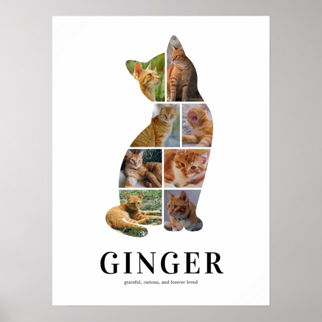 Personlig Katt Siluett Fotokollageaffisch Poster (Framsidan)