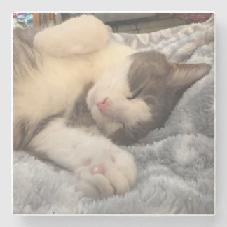 Personlig kattfoto present till kattälskare stenunderlägg