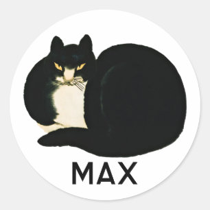 Personlig Kinesisk Qing Dynasty Black Manchu Cat Runt Klistermärke