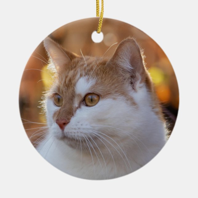Personlig Kitty Katt Foto Julgransprydnad Keramik (Framsidan)