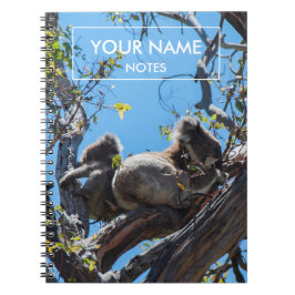 Personlig Koalas Anteckningsbok