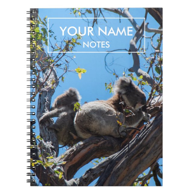 Personlig Koalas Anteckningsbok (Framsidan)