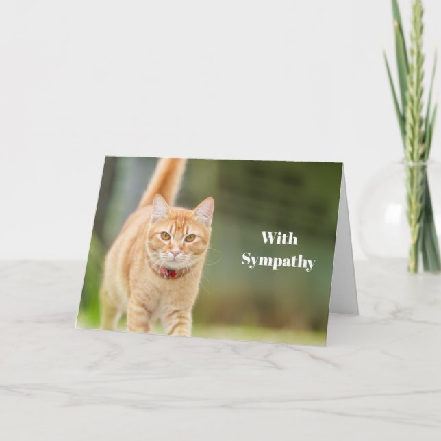 Personlig kondoleanskort för katt Dödsannons  Kort (Framsida)