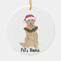 Personlig Labrador (Dudley)