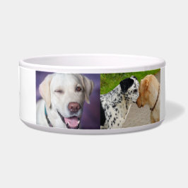 "Personlig Labrador och Dalmatian Hund Bowl