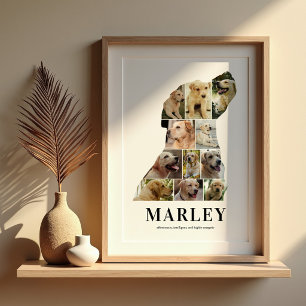 Personlig Labradors fotokollageaffisch Poster