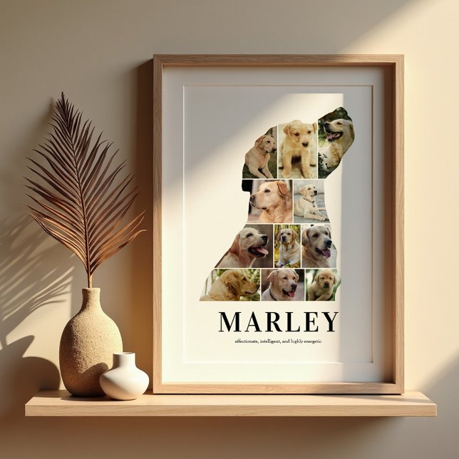 Personlig Labradors fotokollageaffisch Poster (Skapare uppladdad)