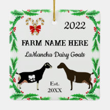 Personlig LaMancha Dairy Goat Farm jul