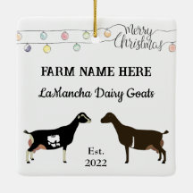 Personlig LaMancha Dairy Goat White-jul