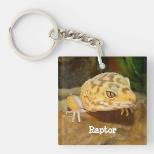 Personlig Leopard Gecko Lizard