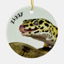 Personlig Leopard Gecko Lizard