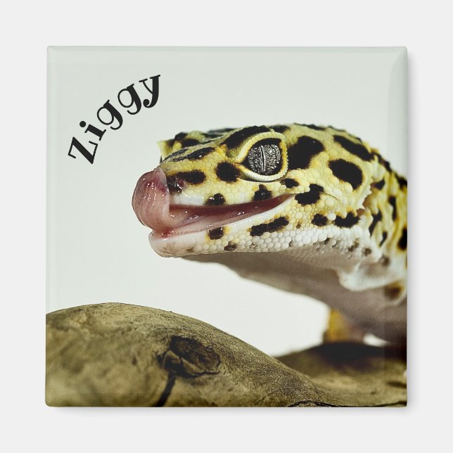 Personlig Leopard Gecko Lizard Magnet (Framsidan)
