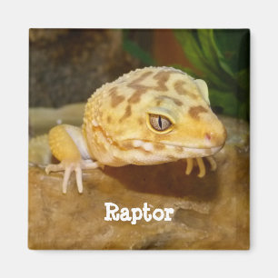 Personlig Leopard Gecko Lizard Magnet