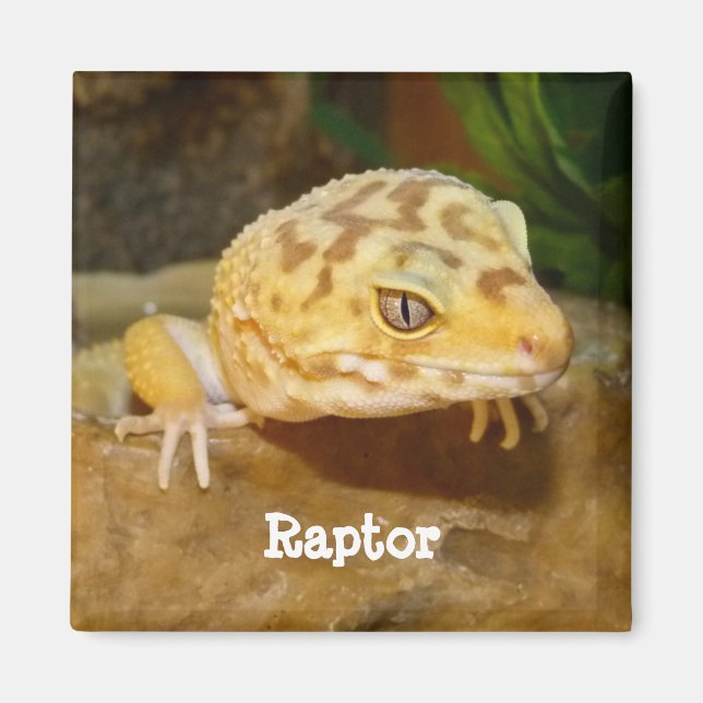 Personlig Leopard Gecko Lizard Magnet (Framsidan)