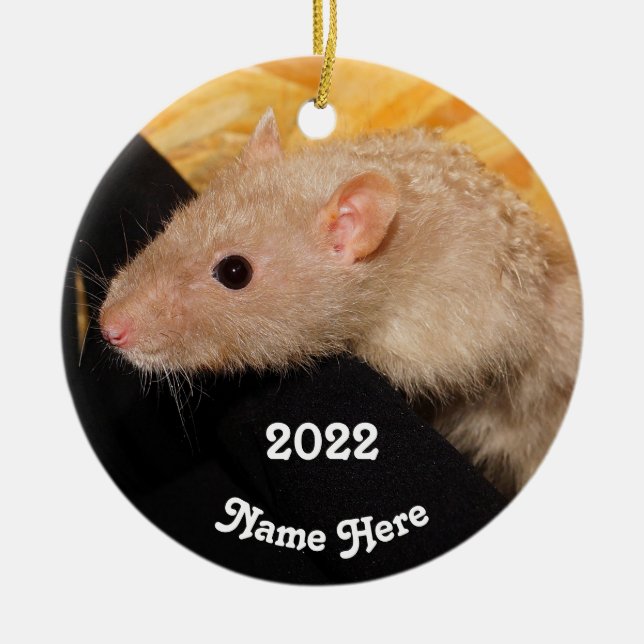 Personlig Lilac Mink Finare Pet Råtta Julgransprydnad Keramik (Framsidan)