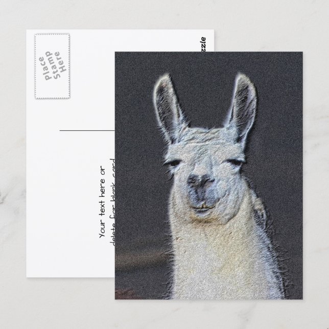 Personlig Llama Ansikts Djur Konst Vykort (Fram/baksida)