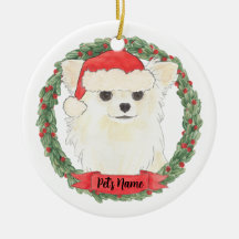 Personlig Long-Halls White Cream Chihuahua