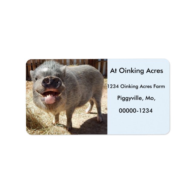 Personlig Lycklig Smiling Mini Gris Adressetikette Adressetikett (Framsidan)