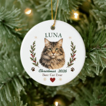 Personlig Maine Coon Katt Jul