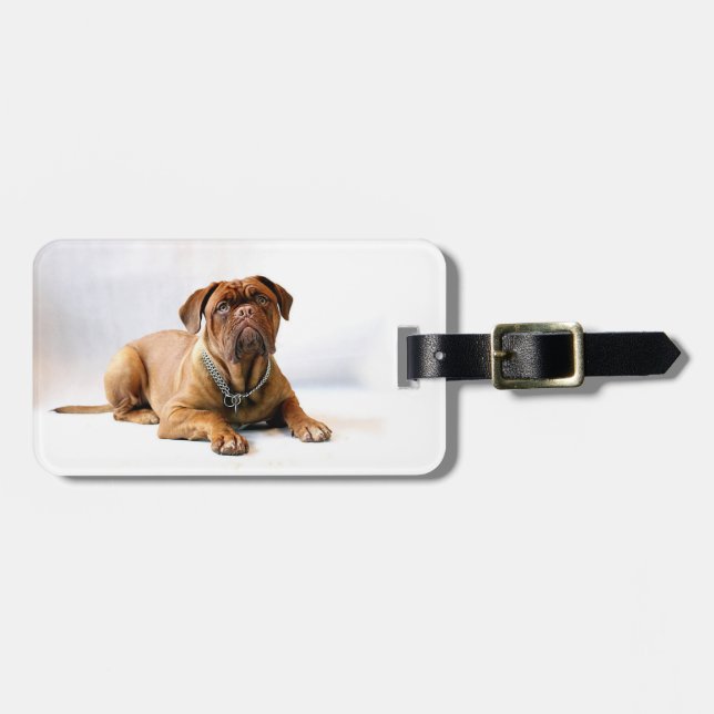 Personlig Mastiff/Hund Photo Bagagebricka (Horisontell Framsida)