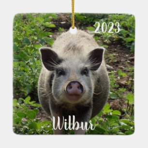 Personlig Mini Juliana Pet Gris #2 Julgransprydnad Keramik