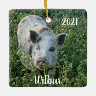 Personlig Mini Juliana Pet Gris Julgransprydnad Keramik