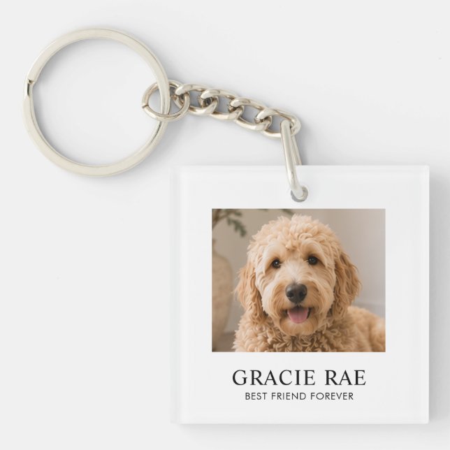 Personlig Modern Enkel Husdjursfoto (Framsidan)