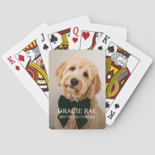 Personlig modern fotobild på husdjur hund casinokort