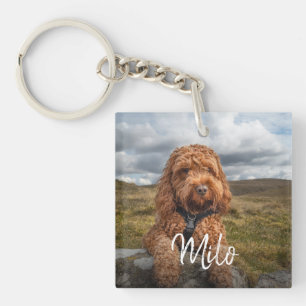 Personlig Modern Hund Photo Namn