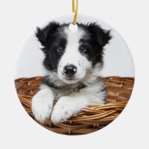 Personlig Monogram och Pet Photo Jul Julgransprydnad Keramik