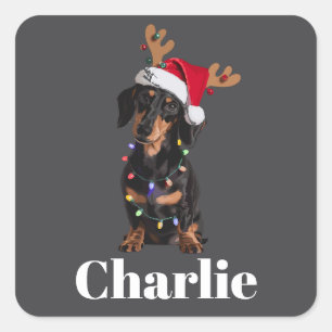 Personlig Namn Jul Dachshund Hund Ljus Fyrkantigt Klistermärke