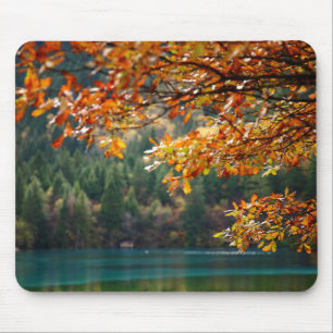 Personlig Natur Foto Modern  Musmatta