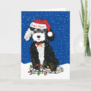 Personlig Naughty Bernedoodle jul Helgkort