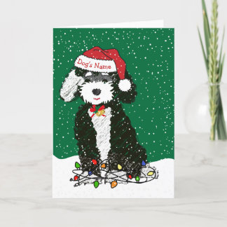 Personlig Naughty Bernedoodle jul Helgkort