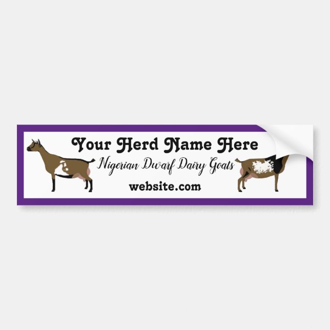 Personlig Nigerian Dwarf Dairy Goat Bildekal (Framsidan)