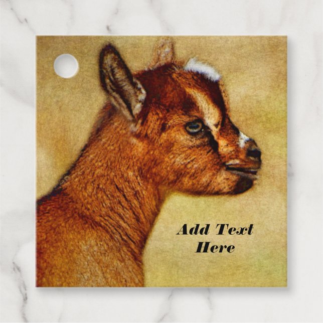 Personlig Nigerian Dwarf Dairy Goat Kid Gåvor Etiketter (Framsida)
