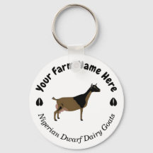 Personlig Nigerian Dwarf Dairy Goat