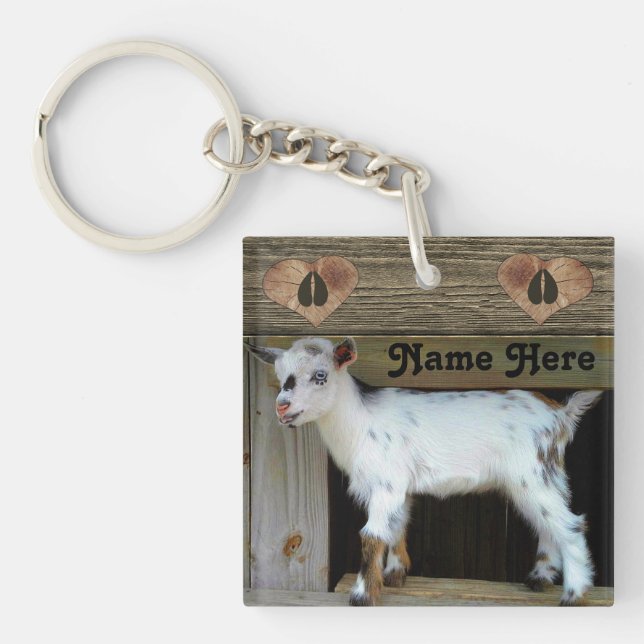 Personlig Nigerianska Dwarf Dairy Goat (Framsidan)
