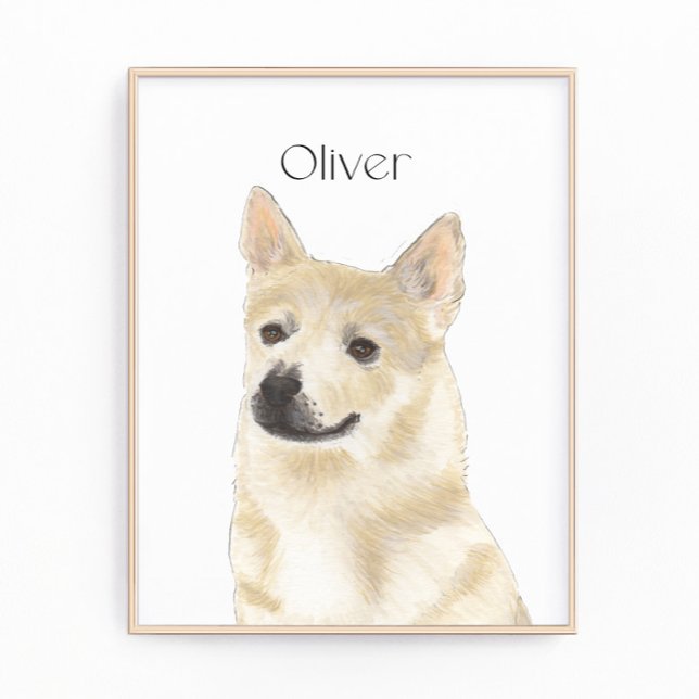 Personlig Norsk buhund Fototryck (Skapare uppladdad)