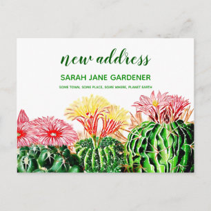 Personlig Ny adress Cactus Succulent Plant Vykort