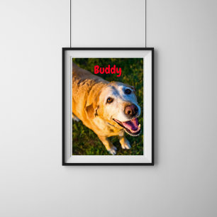 Personlig Older Hund-minnesfoto Poster