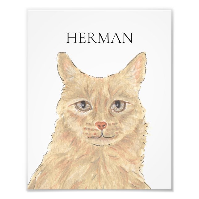 Personlig Orange Maine Coon Art Fototryck (Framsidan)