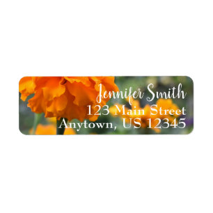 Personlig Orange Marigold Nature Blommigt Flower Returadress Etikett