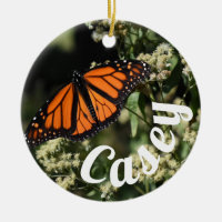 Personlig Orange Monarch Butterfly Nature Photo