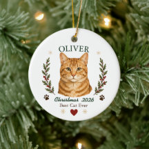 Personlig orange tabby katt jul