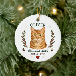 Personlig orange tabby katt jul julgransprydnad keramik